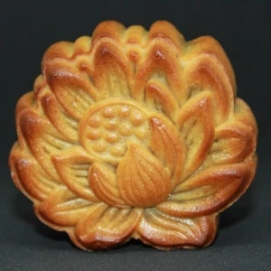 Bánh nướng nhân đậu xanh (Mung Bean Baked Mooncake)